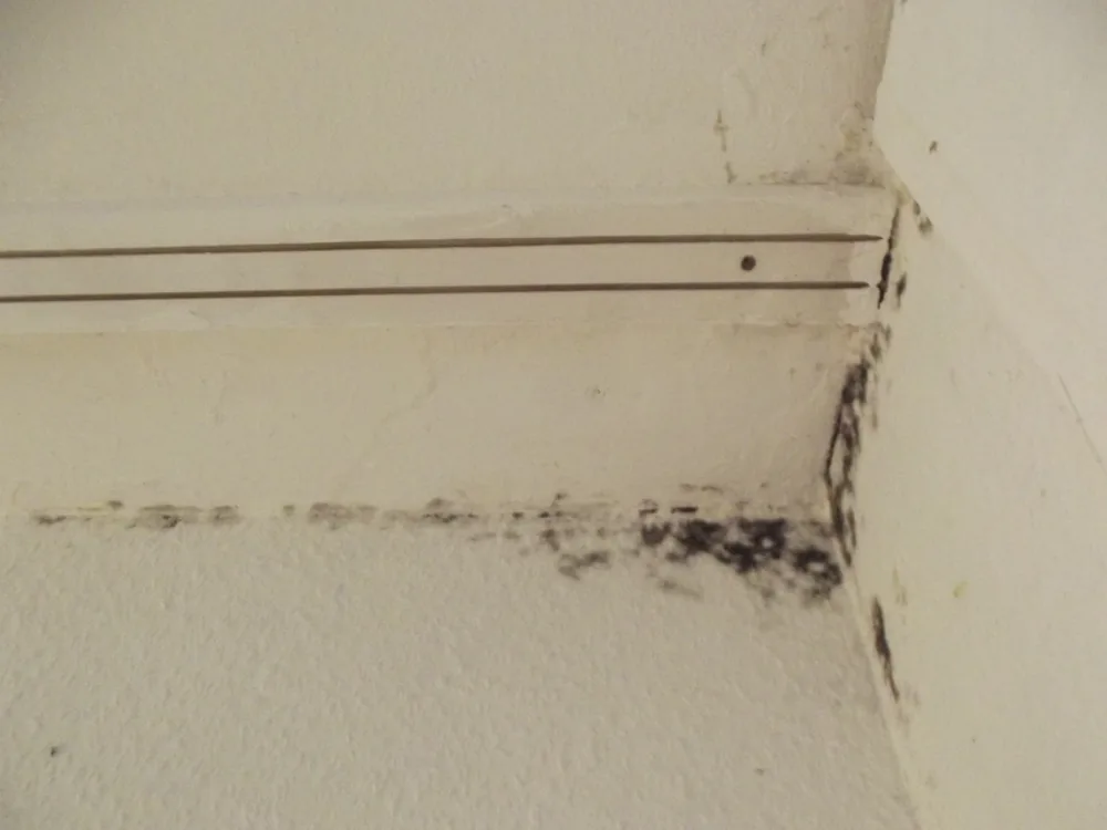 Technician in protective gear removing a mold-damaged wall in a York home
